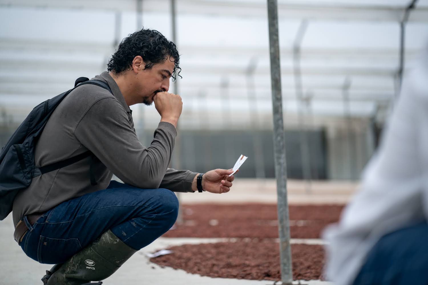 Diego revisando resultados de diagnóstico en campo