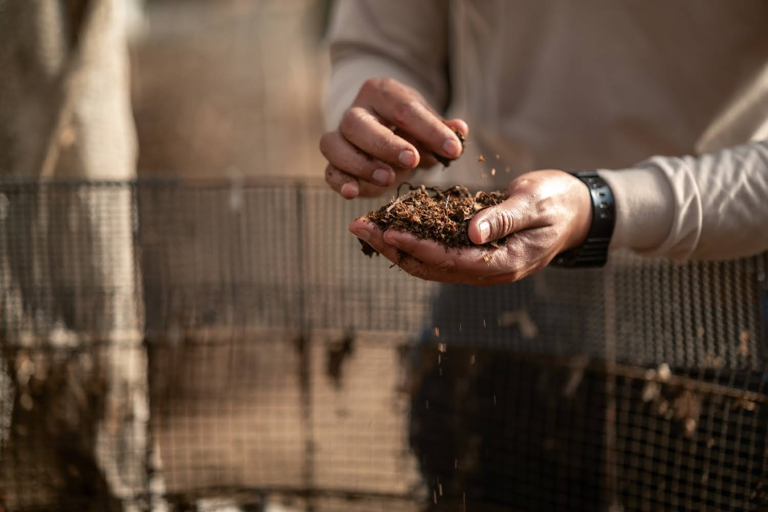 Proceso Biofábrica SiembraViva